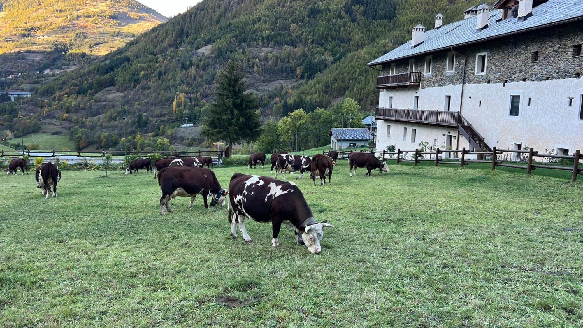 Maison Marcoz - Appartamenti Vacanze Етрабълс Екстериор снимка