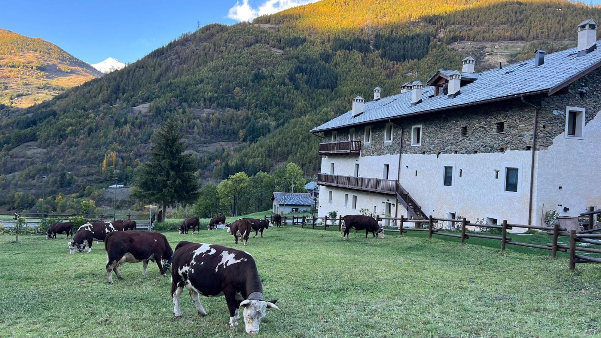 Maison Marcoz - Appartamenti Vacanze Етрабълс Екстериор снимка